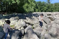2020-07-12-10.01.08_anonymized