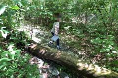 2020-07-12-10.20.27_anonymized