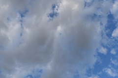 2019-08-24-18.54.22